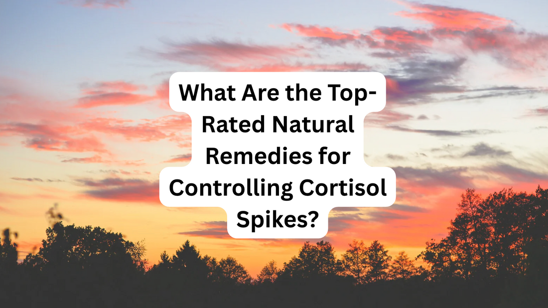 What Are the Top-Rated Natural Remedies for Controlling Cortisol Spikes?