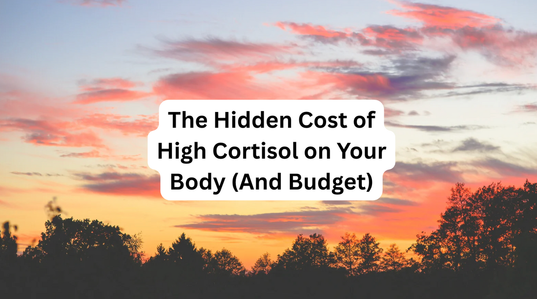 The Hidden Cost of High Cortisol on Your Body (And Budget)