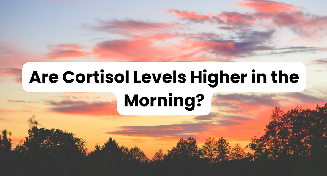 Are Cortisol Levels Higher in the Morning?
