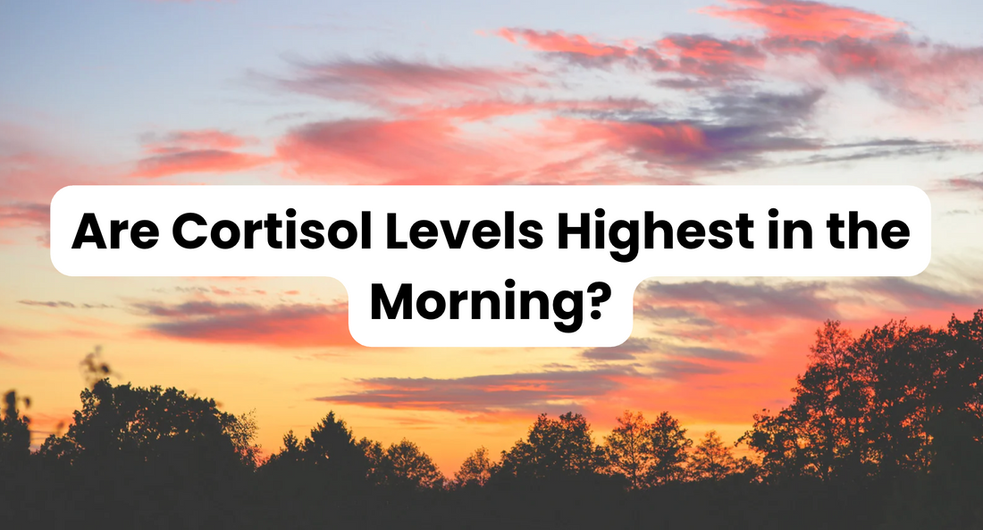 Are Cortisol Levels Highest in the Morning?